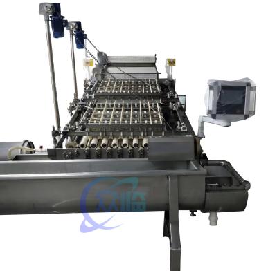 China Multipurpose Shrimp Peeling Machine PLC Stainless Steel 304 Material for sale