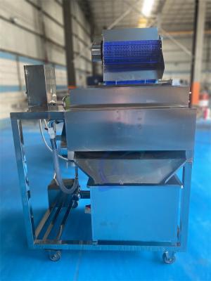China 1500W Stable Fish Processing Plant Equipment , Industrial Shrimp Whisker Separator for sale