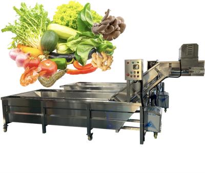 China Anti Erosion Fruit Vegetable Washing Machine 50Hz For Industrial for sale