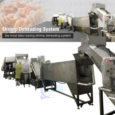 China Practical Shrimp Head Removal Machine 19500x2500x1700mm Multiscene for sale
