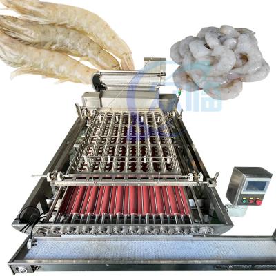 Cina 3KW Durable Shrimp Peeling Machine Flessibile 380V Per la pulizia in vendita