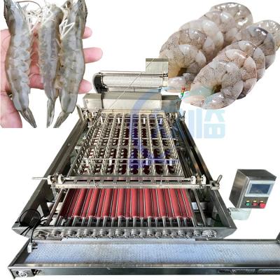China Máquina de descascar camarão estável ISO separador de conchas multifunção à venda