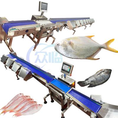 China SUS304 Fish Weight Sorting Machine Lever type 261 pcs/min for sale
