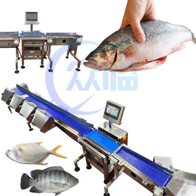 China Commercial Fish Sizing Machine Single Weighing Range 1g-3g Pangasius Grading for sale