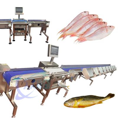 China High Precise Live Fish Sorting Machine Live Fish Sorting Equipment Tilapia Sizing for sale