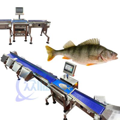 China Máquina de pesado y clasificación de pescado de venta caliente clasificador de peso de pescado adecuado para el medio acuático en venta