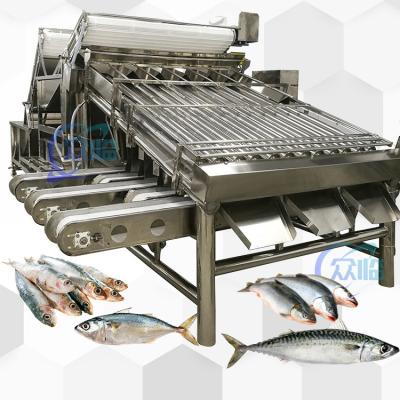 China Máquina de clasificación de peces para peces pequeños y equipos de clasificación de peces Sistema de clasificación en venta