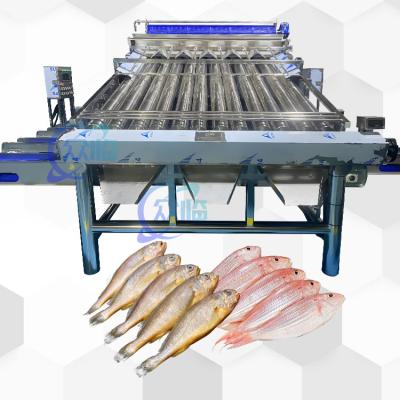 중국 Automatic Fish Classify Machine With 12 Roller Automatic Fish Classifier For 4-5 Sizes 판매용