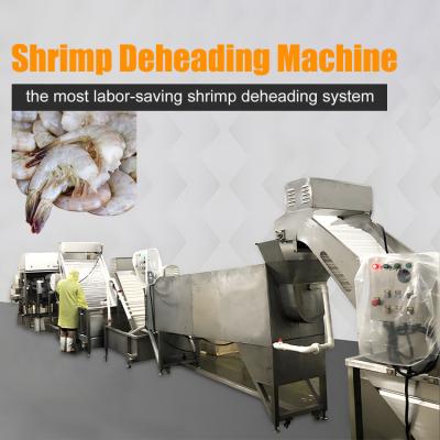 China Shrimp Head Separation Machine Shrimp head and shrimp body separator Innovative Seafood Processing Machine à venda