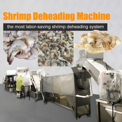 China Smart Shrimp Head Removal Screening Machine for Seafood Processing Factory Efficient Shrimp Head Cutting Machine en venta