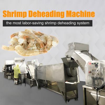 China Stainless steel shrimp head removal processing line Shrimp head body separation and sorting machine for sale