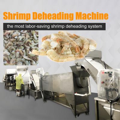China Automatic Shrimp Deheading System Production Line for sale