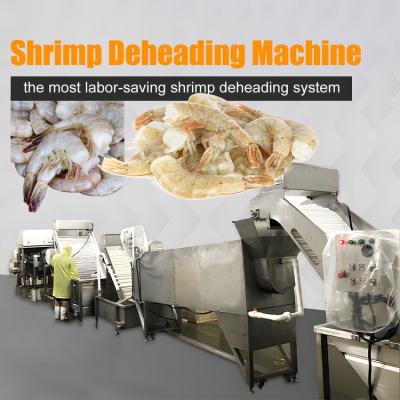 China Shrimp deheading automatic assembly line Shrimp head removal machine for seafood processing factory à venda