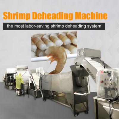 Chine Automatic Light Sensitive Shrimp Head Screening Machine Intelligent Shrimp Head Sorting Machine à vendre