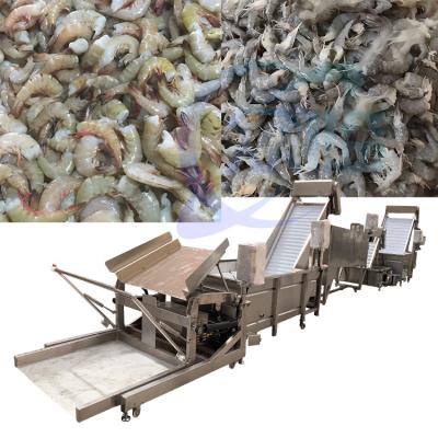 China Head removal machine for shrimp processing production line for sale