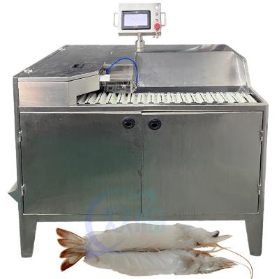China Seafood shrimp processing open back shrimp machinery and equipment Automatic butterfly shrimp peeling machine en venta