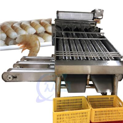 China Farmed shrimp harvest rapid sorting and size specification machine Shrimp sorting machine for sale