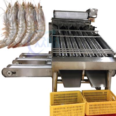 China Shrimp cleaning and grading machine Automatic shrimp sorting machine Customized shrimp grading machine according to need en venta