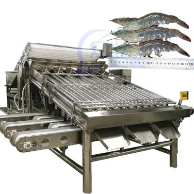 China Automatic shrimp grader sorter prawn sorting grading machine fresh prawn washing rolling sorting machine for sale