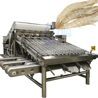 China Lobster sorting and grading machine Shrimp grading machine Shrimp sorting machine Te koop
