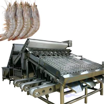 中国 Production line of integrated shrimp and fish cleaning machine Customized large drum shrimp grading machine 販売のため