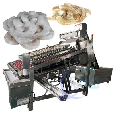 China Fully automatic shrimp peeling production line The overall material is 304 stainless steel Shrimp Washing Machine à venda