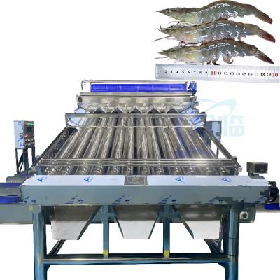 中国 Shrimp processing fully automatic shrimp shelling line Shrimp impurity removal and sorting machine 販売のため