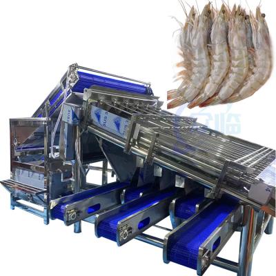 中国 Fully automatic multi-functional fish and shrimp sorting and grading machine Customized roller rapid shrimp grading mach 販売のため