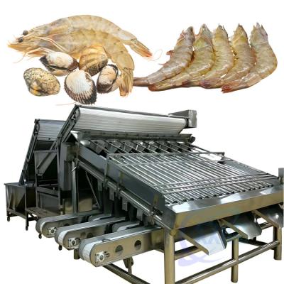 China Automated food processing line fish sorting machine Shrimp cleaning and sorting machine for sale
