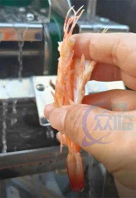 Chine Coupeur chaud de ventre de crevette rose de coupeur de la crevette rose EBI de découpeuse de crevette rose de vente à vendre