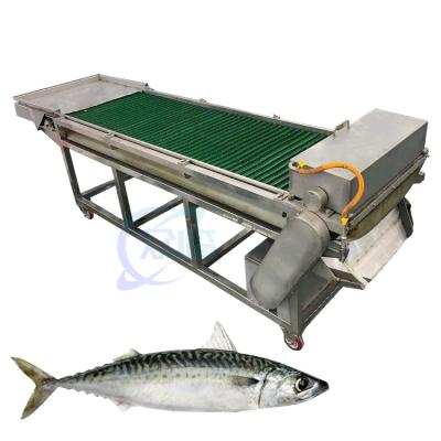 Chine Machine de découpe de poisson entièrement automatique équipement de trancheuse électrique trancheuse de poisson frais et séché trancheuse de poisson à vendre