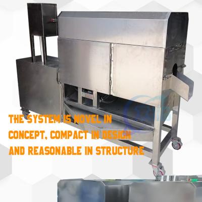 China Fully Automatic Fish Processing Equipment Fish Scale Descaling Machine Viscera Cleaning Machine for sale