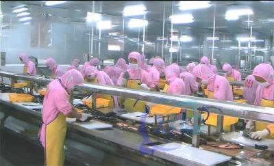Κίνα Πλατφόρμα επεξεργασίας ψαριών και γαρίδας Πλατφόρμα ροής επεξεργασίας πολλών ατόμων προς πώληση