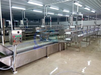 China 2.22KW SS Washing Machine For Fruit And Vegetable Processing Production Line Lettuce Cabbage Air Spray Washing Machine for sale