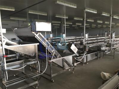 China Volledig automatische bubbelreinigingsmachine garnalen Hoog efficiënte industriële groenten- en fruitreinigingsmachine Te koop