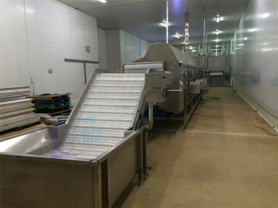 Chine Ascenseur de refroidissement par eau de crevettes cuites Circulation d'eau de glace machine de nettoyage à basse température à vendre