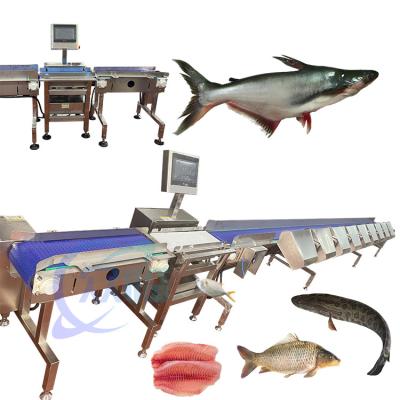 China Máquina de clasificación de pescado de alta precisión SUS 304 clasificador de pescado duradero clasificador automático de pescado en venta