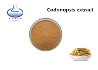 China Natural Plant Codonopsis Pilosula Extract Brown Fine Powder Medicine Grade for sale