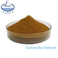 China Antioxidant Cistanche Tubulosa Extract Brown powder for sale