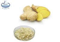 China CAS 23513-14-6 Ginger Root Extract Powder for Healthcare Products for sale
