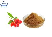 China Frutos secos Goji Berry Extract Powder Polysaccharides CAS 107-43-7 en venta