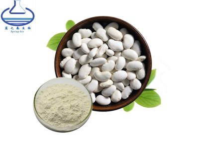 China Food Additive White Kidney Bean Extract Powder Phaseolin For Preventing Colon Cancer for sale
