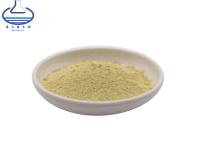 China Rhizoma Kaempferia Galanga Extract 50% Kaempferol Powder à venda
