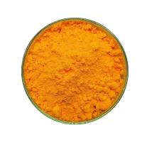 China Bulk Coenzyme Q10 Supplements Powder 98% Fermentation Raw Material Powder for sale