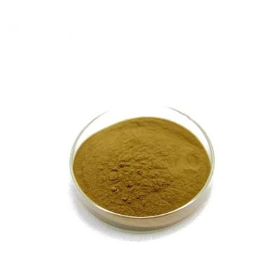 China 481-72-1 Aloe Vera Extract Powder 100/1 200/1 Natural Aloe Powder for sale