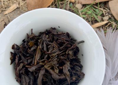 China 100°C Brewing Temperature Revealing the Fruity Essence of Aged Pu Erh Tea for sale