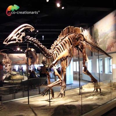 China Waterproofing Jurassic World Replica Parasaurolophus Skeleton 15 meters length for sale