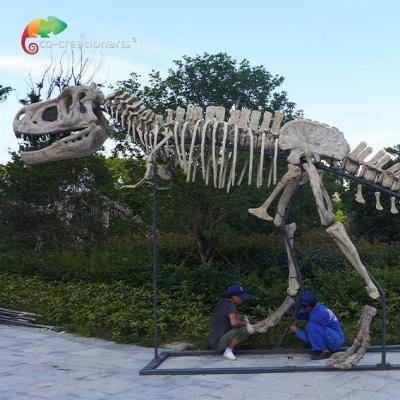 China length 15m Museum Quality Dinosaur Replicas T Rex Skull water repellent for sale