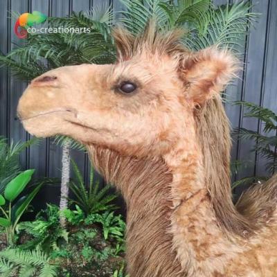 China Artificial Realistic Animatronic Animals Customized Size Camel Controlled Remotely Te koop