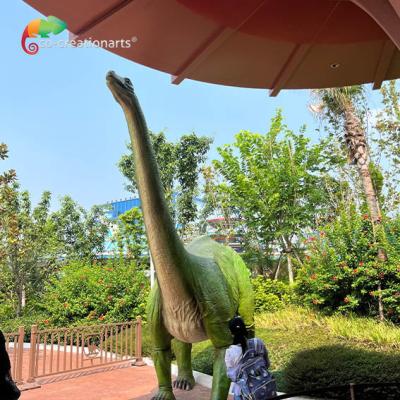 China High Durability Fiberglass Dinosaurs Customized For Outdoor à venda